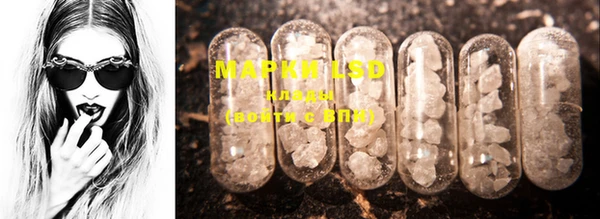 ECSTASY Медвежьегорск